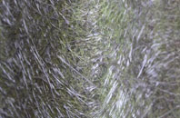 Achininver fibreglass roof work